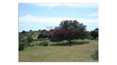 Finca rústica en venta en Río Tinto-Aldea Moret-La Cañada - Vista 6