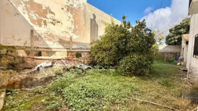 House in Arenas del Rey photo 33