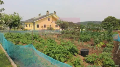 House in Parroquias Oeste-A Ponte photo 5