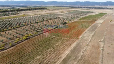 Finca rústica en Villar del Pedroso photo 3