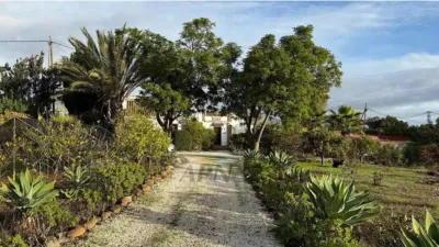 Rustic Finca in Álora photo 3