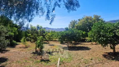 Rustic Finca in Álora photo 42