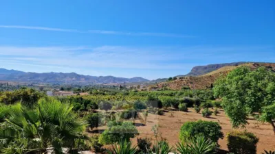 Rustic Finca in Álora photo 45