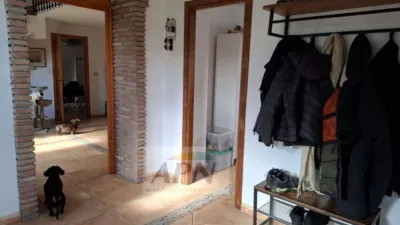 Rustic Finca in Álora photo 7