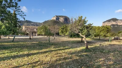 Rustic house in Alaró photo 2