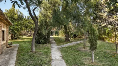 Rustic house in Alaró photo 31