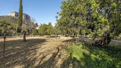 Rustic house in Alaró photo 32