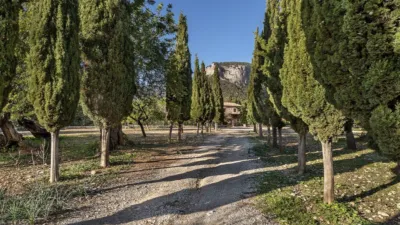 Rustic house in Alaró photo 33