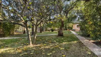 Rustic house in Alaró photo 35