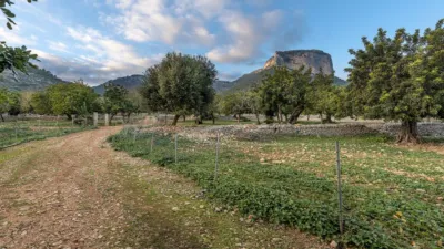 Rustic house in Alaró photo 40