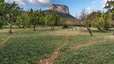 Rustic house in Alaró photo 6