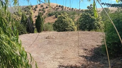 Rustic finca in Alhama de Granada photo 23