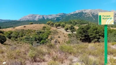 Rustic finca in Alhama de Granada photo 40