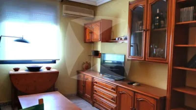 Apartment in Ribera del Marco photo 4