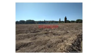 Finca rústica en venta en Galisteo - Vista 5