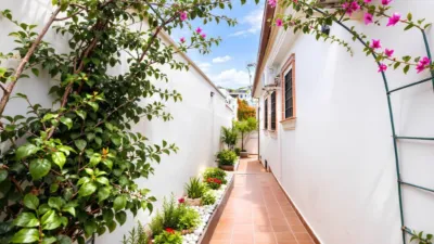House in Campo de Mijas photo 23
