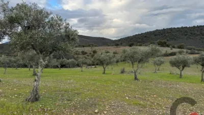 Rustic Finca in Rincón de Ballesteros photo 10