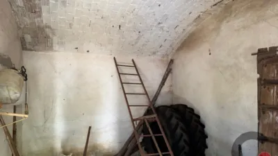 Rustic Finca in Rincón de Ballesteros photo 15