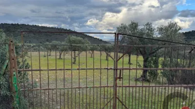 Rustic Finca in Rincón de Ballesteros photo 9