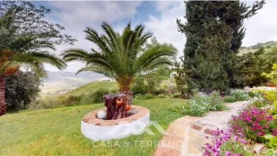 Villa in Álora photo 29