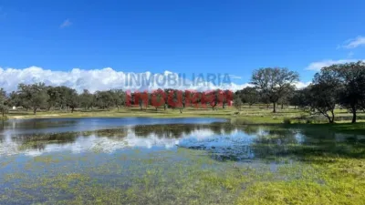Finca rústica en venta en Tiétar - Vista 4
