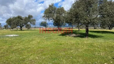 Finca rústica en venta en Tiétar - Vista 5