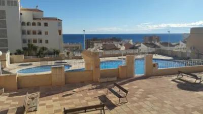 Apartment in Los Arenales del Sol photo 32