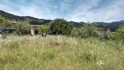Rustic house in Alaró photo 15