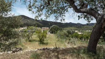 Rustic house in Alaró photo 16