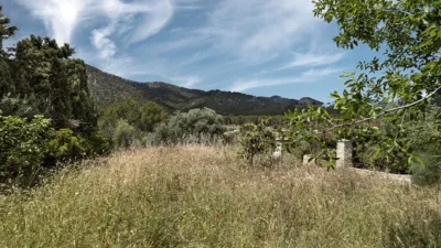 Rustic house in Alaró photo 21