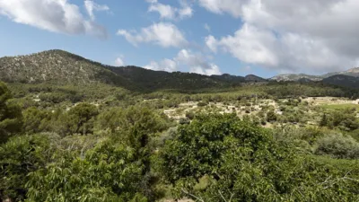 Rustic house in Alaró photo 22
