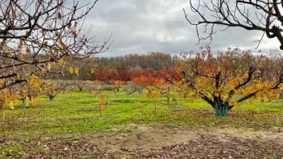 Rustic Finca in Jarandilla de La Vera photo 26