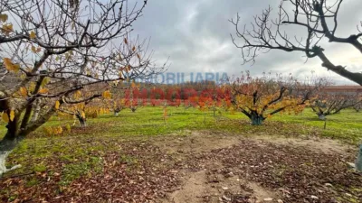 Rustic Finca in Jarandilla de La Vera photo 27