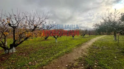 Rustic Finca in Jarandilla de La Vera photo 28