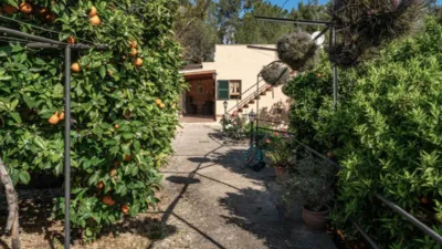 Casa rústica en Sóller photo 12