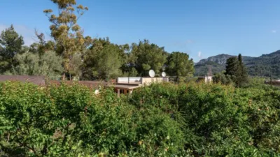 Casa rústica en Sóller photo 13