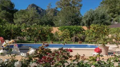 Rustic house in Sóller photo 2