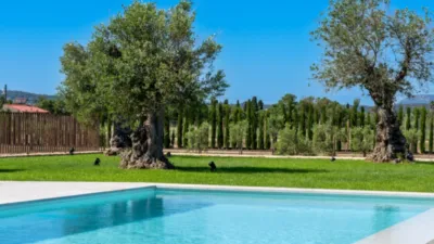 Rustic house in Sineu photo 22