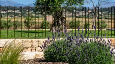 Rustic house in Sineu photo 2