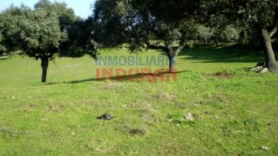 Rustic Farm in Millanes photo 3