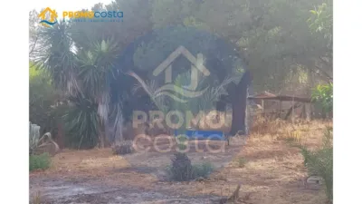 Rustic Finca in Pozo del Camino photo 10