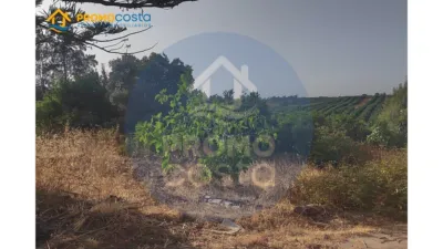Rustic Finca in Pozo del Camino photo 11