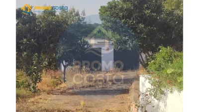 Rustic Finca in Pozo del Camino photo 15