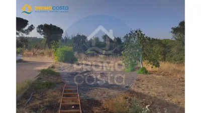 Rustic Finca in Pozo del Camino photo 24