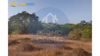 Rustic Finca in Pozo del Camino photo 25