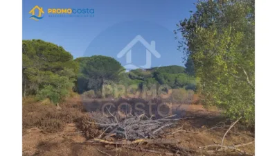 Rustic Finca in Pozo del Camino photo 26