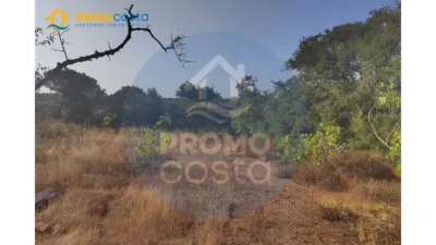 Rustic Finca in Pozo del Camino photo 27