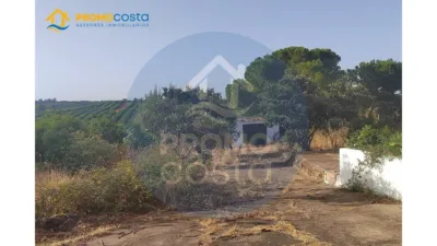 Rustic Finca in Pozo del Camino photo 8