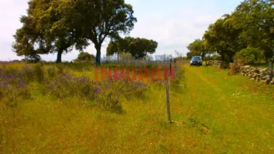 Rustic farm in Valdehúncar photo 10
