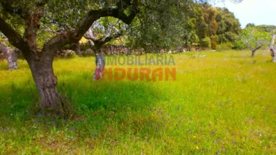 Rustic farm in Valdehúncar photo 6